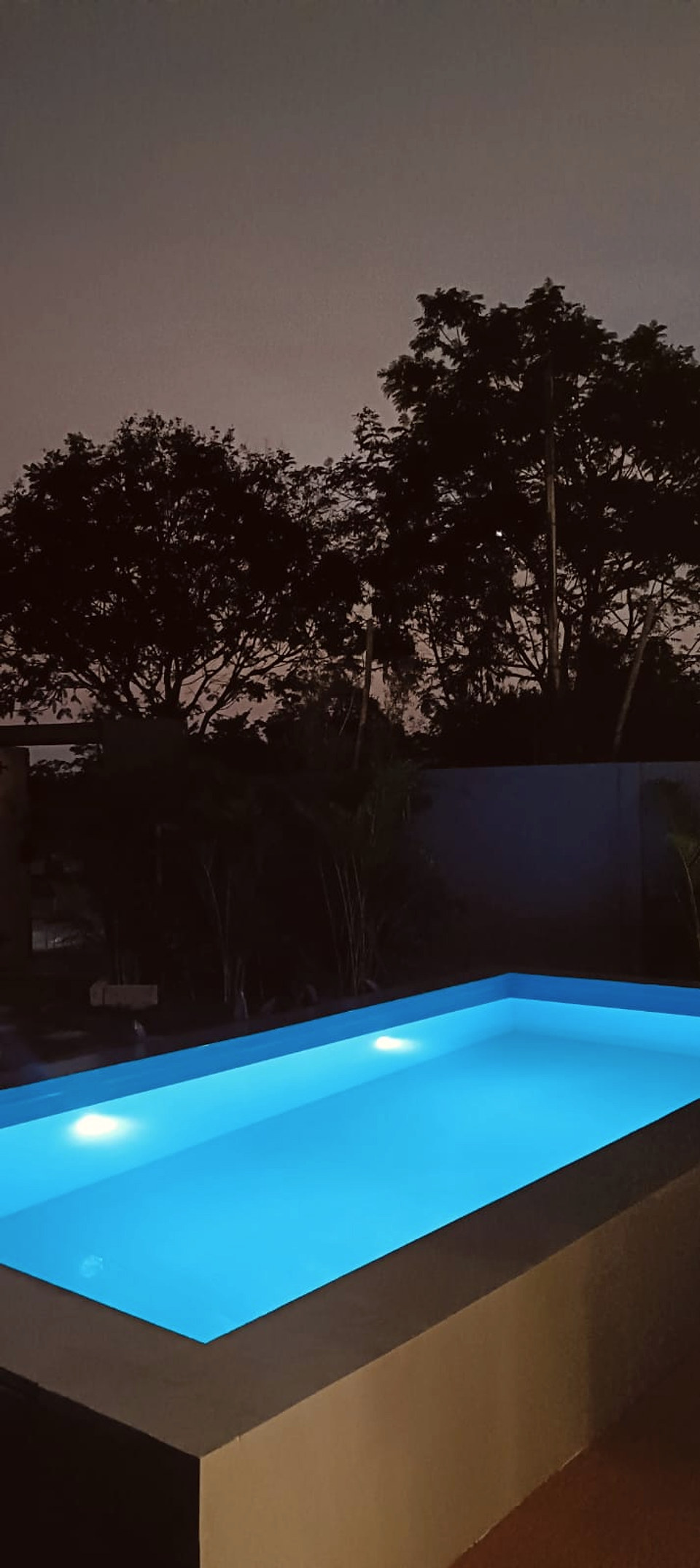 Private pool glowing blue beneath trees at twilight